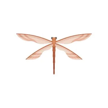 Flat vector icon of dragonfly with two pairs of transparent wings. Beautiful Illustrazione stock