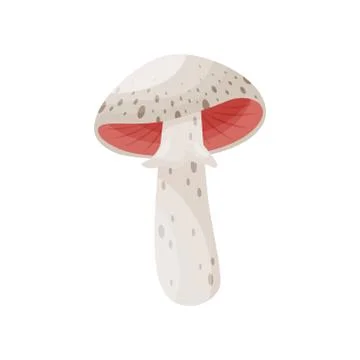 Flat vector icon of forest mushroom with pink gills and ring on stem. Type of Stock Illustration