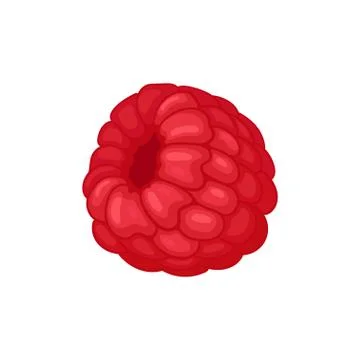 Flat vector icon of fresh red raspberry. Delicious summer berry. Juicy fruit Stockillustratie