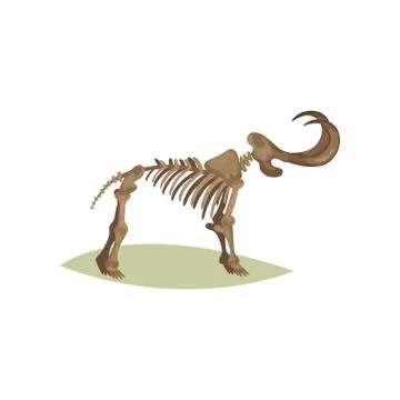 Flat vector icon of mammoth skeleton. Bones of prehistoric animal. Object of Stock Illustration