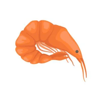 Flat vector icon of raw or boiled shrimp with bright red shell. Big fresh prawn Stock Illustration