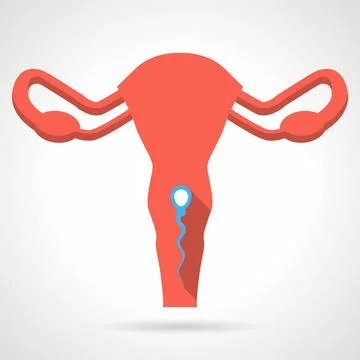 Flat vector icon for red uterus Abstract flat color vector icon for red ut... Stock Photos