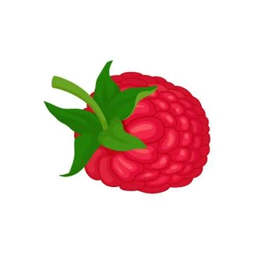 Flat vector icon of ripe raspberry with green peduncle. Sweet garden berry Stockillustratie