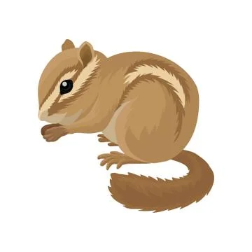 Flat vector icon of small brown chipmunk. Small mammal animal. Rodent with cheek Illustrazione stock