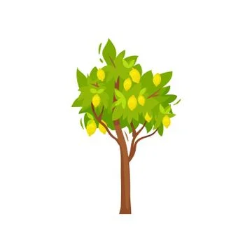 Flat vector icon of small tree with ripe lemons and green foliage. Yellow citrus Stock Illustration