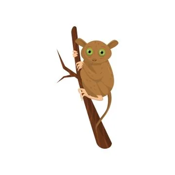 Flat vector icon of tarsier sitting on tree branch. Small brown primate with Illustrazione stock