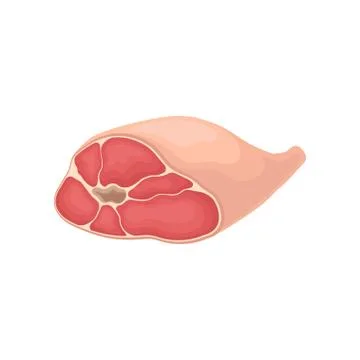 Flat vector icon of tasty baked ham. Fresh meat product. Food theme. Element for Stock Illustration
