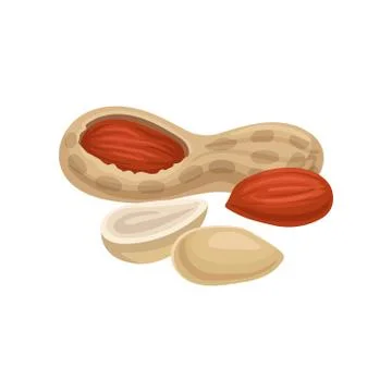 Flat vector icon of whole and peeled peanuts. Organic and tasty food. Vegetarian Illustrazione stock