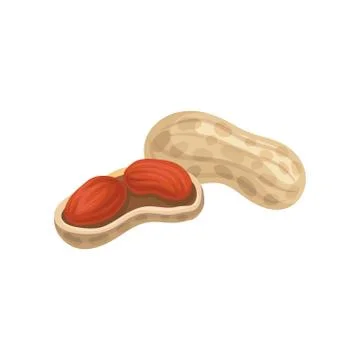 Flat vector icon of whole and peeled peanuts. Natural and tasty food. Organic Illustrazione stock