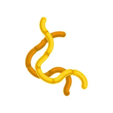 Flat vector icon of yellow-orange rod-shaped virus. Structure of dangerous Stock Illustration