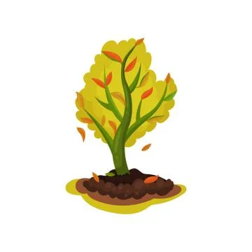 Flat vector icon of young apple tree with red-orange leaves. Autumn season Stock Illustration
