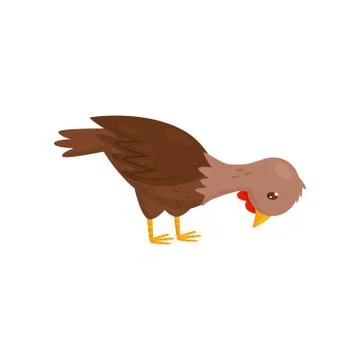 Flat vector icon of young chicken. Farm bird with brown feathers. Domestic fowl Stock Illustration