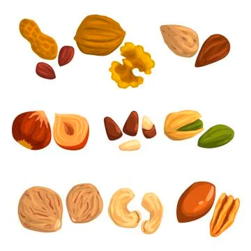 Flat vector icons of nuts and seeds. Hazelnut, pistachio, cashew, nutmeg, walnut Stock Illustration