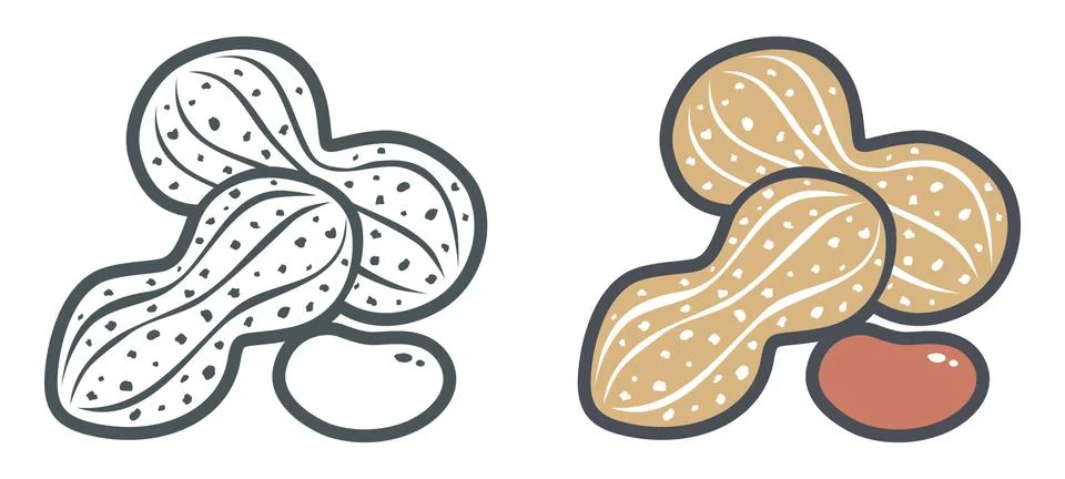 Flat vector icons of peanut Stock Illustration