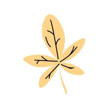 Flat Vector illustration autumn yellow leaf on white background Stock Illustration