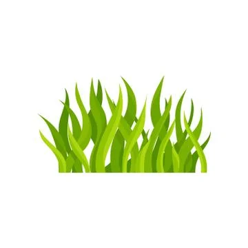 Flat vector illustration of bright green grass. Natural landscape element. Wild 库存插图