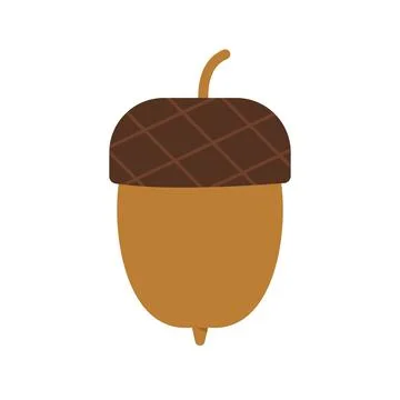 Flat vector illustration of a brown oak acorn isolated on a white background 库存插图