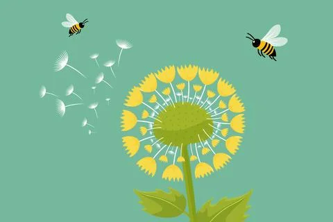 Flat vector illustration of dandelion and bees Illustrazione stock