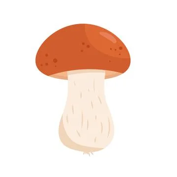 Flat vector illustration of a forest mushroom with a large brown cap and a .. Stock Illustration