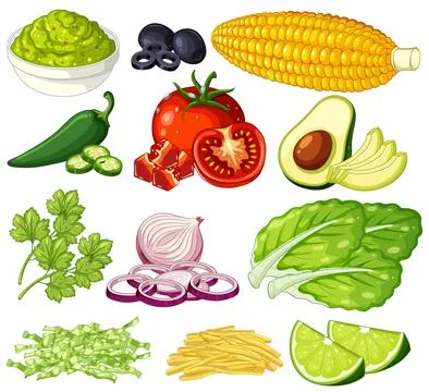 Flat Vector Illustration of Fresh Vegetables and Healthy Cooking Ingredients Stock Illustration