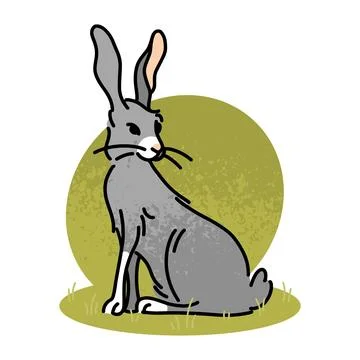 Flat vector illustration of a gray hare. Wild forest animal, inhabitant of .. Stock Illustration