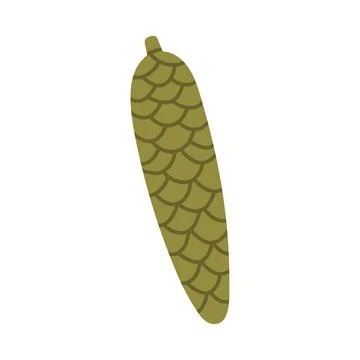 A flat vector illustration of a long, slender pine cone in an olive green hue Stock Illustration