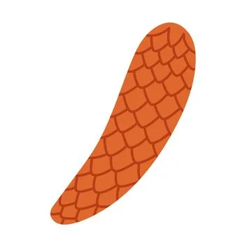 A flat vector illustration of a long, slightly curved pine cone in a vibrant Stock Illustration