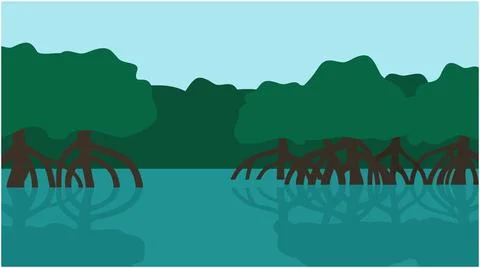 Flat vector illustration of mangrove trees along water with mangrove, ecosyst Stock Illustration
