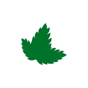Flat vector illustration of mint leaves. isolated on white background. Stock Illustration