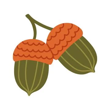Flat vector illustration of a pair of green acorns with orange textured caps on Stock Illustration