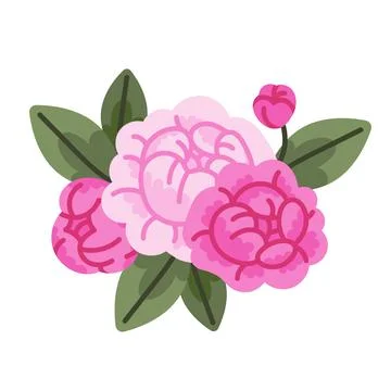 Flat vector illustration of pink peonies. Stock Illustration
