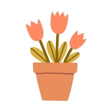 Flat vector illustration of potted tulip flowers in a minimal cute style Stock Illustration