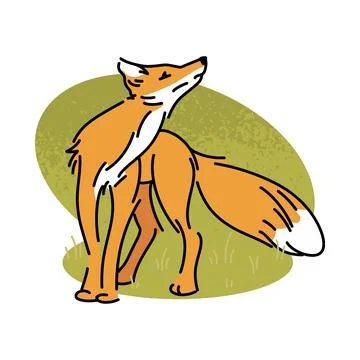Flat vector illustration of a red fox. Wild forest animal isolated on white.. 스톡 일러스트