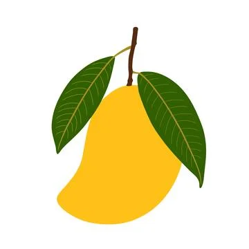Flat Vector Illustration of a Ripe Mango Stock Illustration