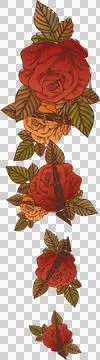 Flat vector illustration is showing cascading rose garland with leaves on Stock Illustration