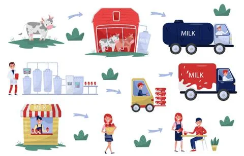 Flat vector illustration showing production and processing milk stages from farm Illustrazione stock