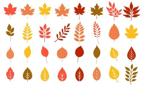 Flat vector illustration Silhouettes of tree leaves elm, beech, ash, linden.. Stock Illustration