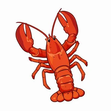 Flat vector illustration of a single red lobster with detailed black outlin.. 库存插图