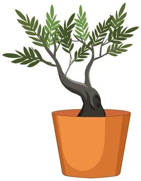 Flat vector illustration of a small olive tree in a terracotta pot with green Stock Illustration