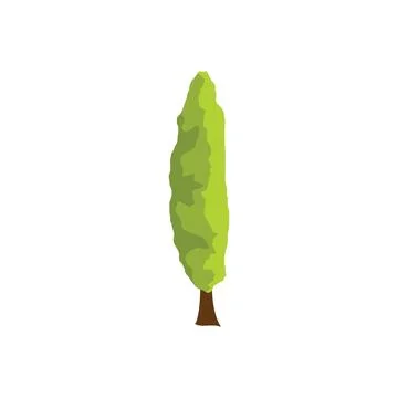 Flat vector illustration of a tall, slender columnar cypress tree Illustration