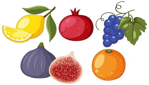 Flat vector illustration of various Mediterranean fruits isolated on white ba Stock Illustration