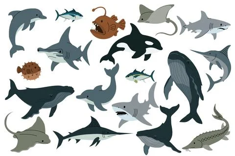 Flat vector illustration of various sea animals including sharks, dolphins Stock Illustration