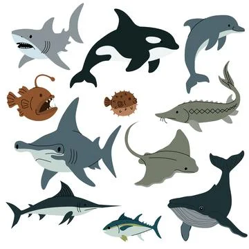 Flat vector illustration of various sea animals including sharks, dolphins Stock Illustration