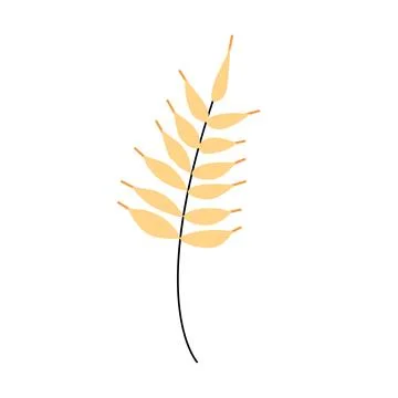 Flat Vector illustration of wheat on a white background Stock-Illustration