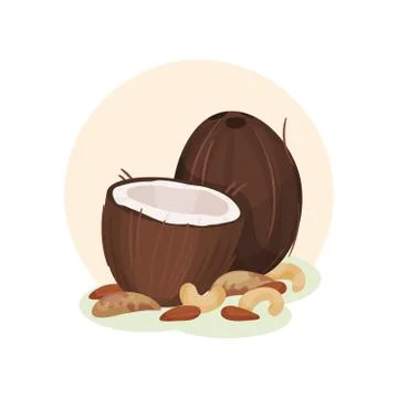 Flat vector illustration of whole and broken coconut, cashew and peanuts Illustrazione stock