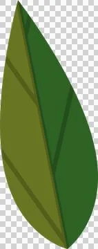 Flat vector leaf is showcasing two-tone olive and forest green with veins, Stock Illustration