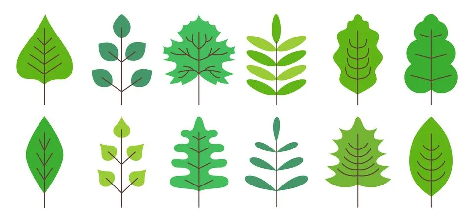 Flat vector leaves for scrapbooking and notebook Illustrazione stock