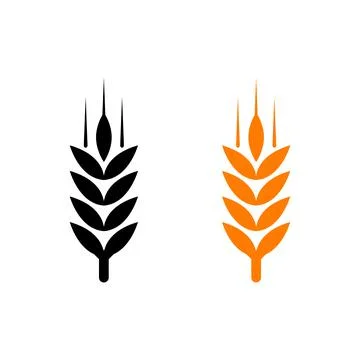 Flat vector line icon of barley, rye, wheat, vector illustration. Stock Illustration