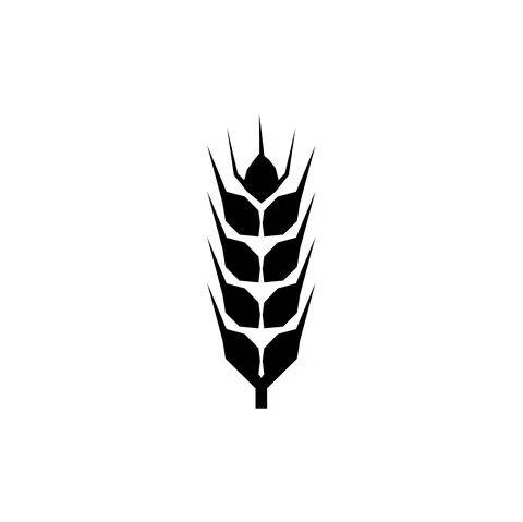 Flat vector line icon of barley, rye, wheat, vector illustration Stock Illustration