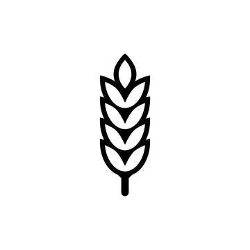 Flat vector line icon of barley, rye, wheat, vector illustration Stock Illustration